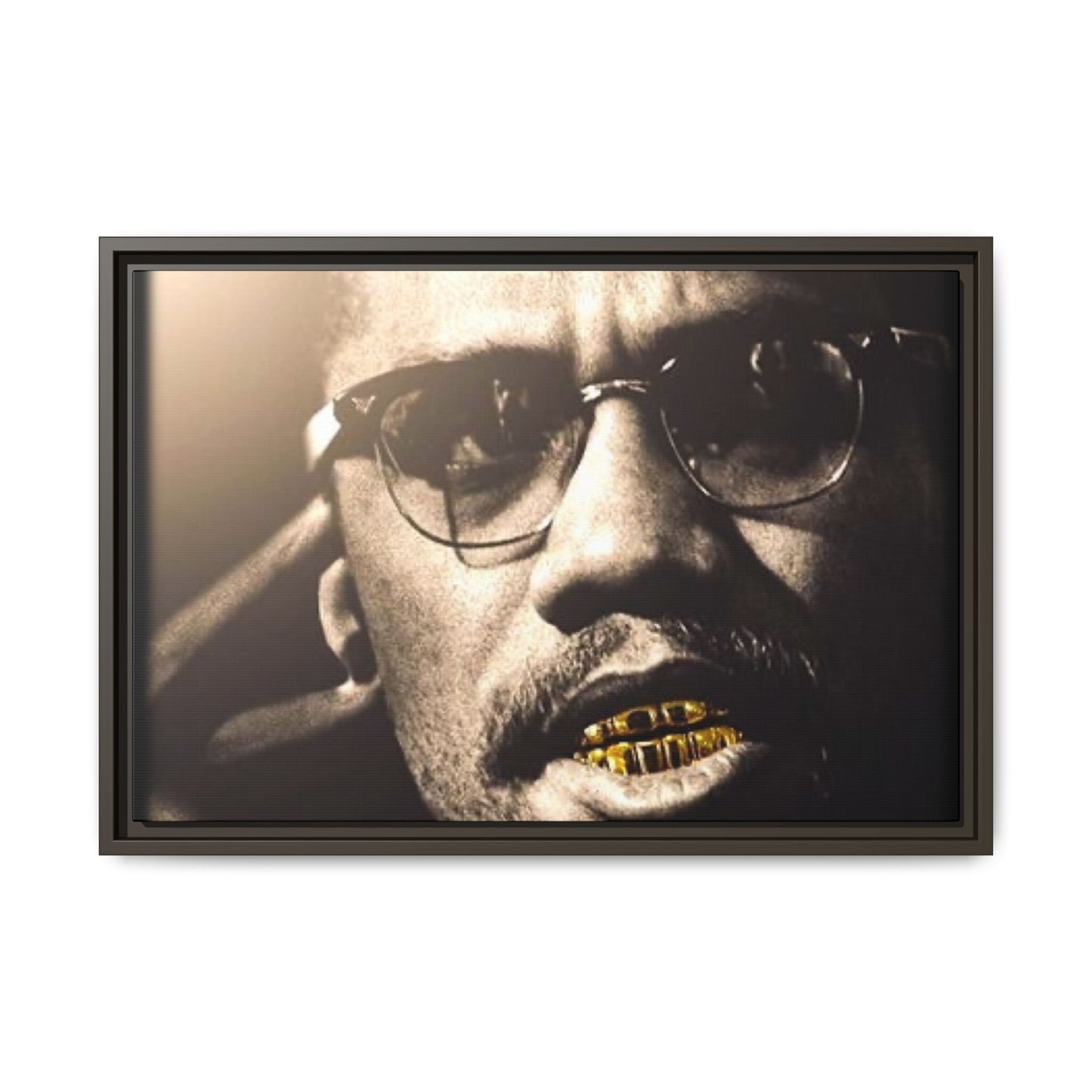 Malcom X  Matte Canvas, Framed (Multi-color)