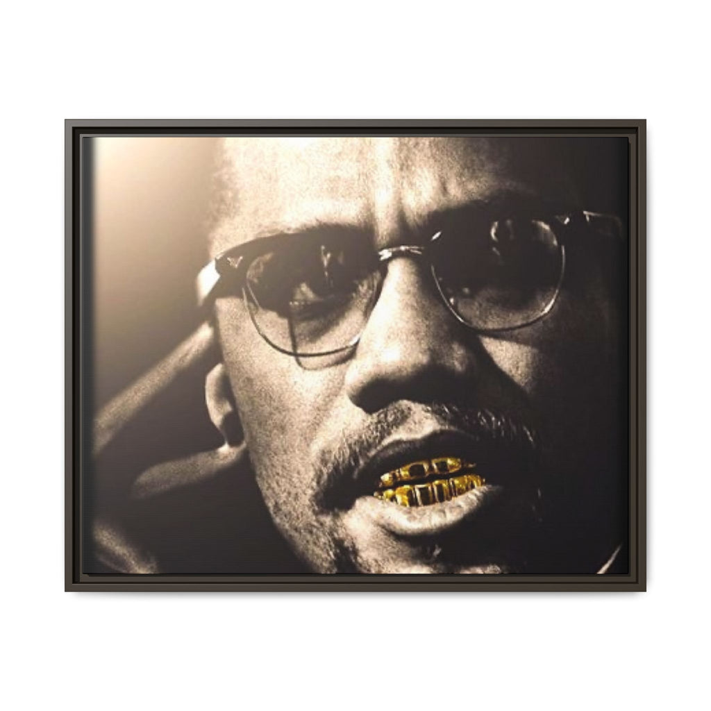Malcom X  Matte Canvas, Framed (Multi-color)