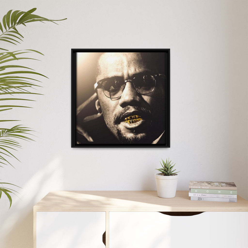 Malcom X  Matte Canvas, Framed (Multi-color)