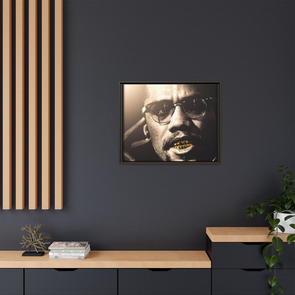 Malcom X  Matte Canvas, Framed (Multi-color)