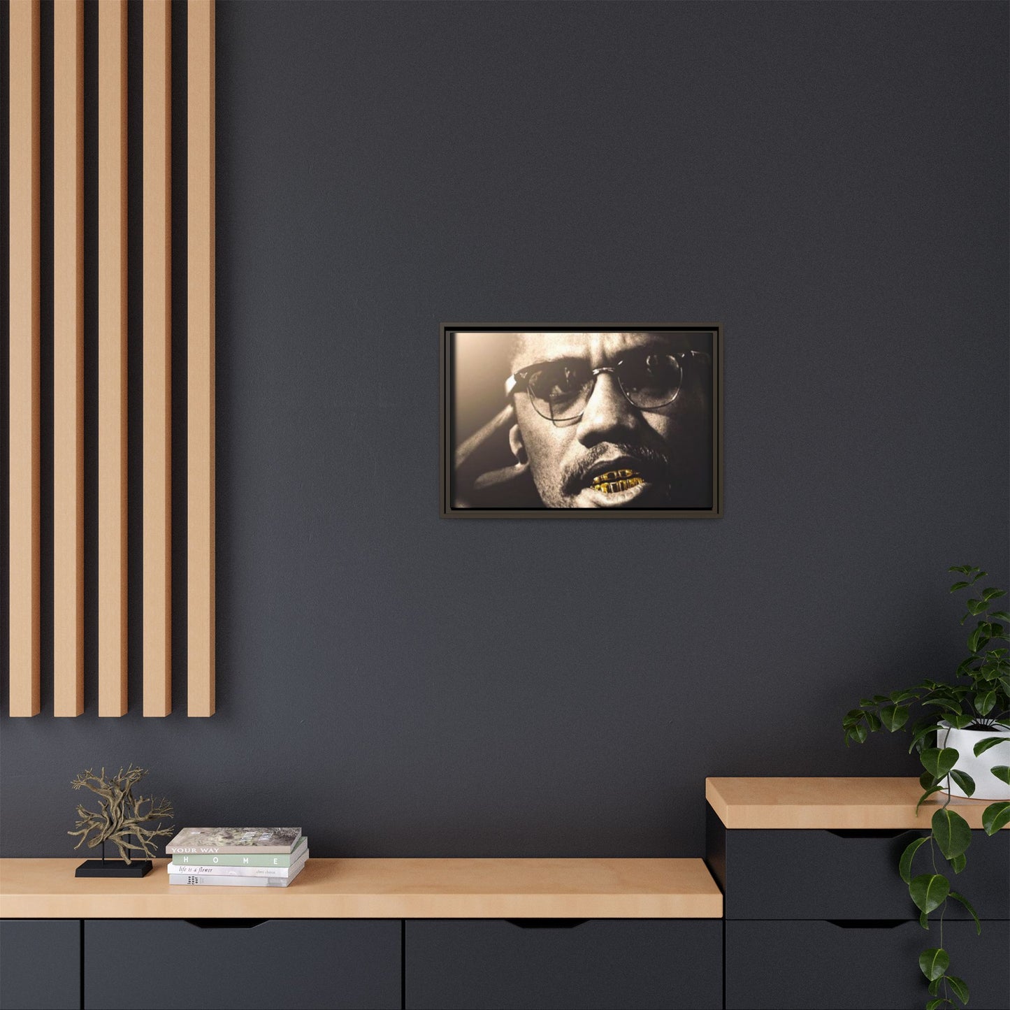 Malcom X  Matte Canvas, Framed (Multi-color)