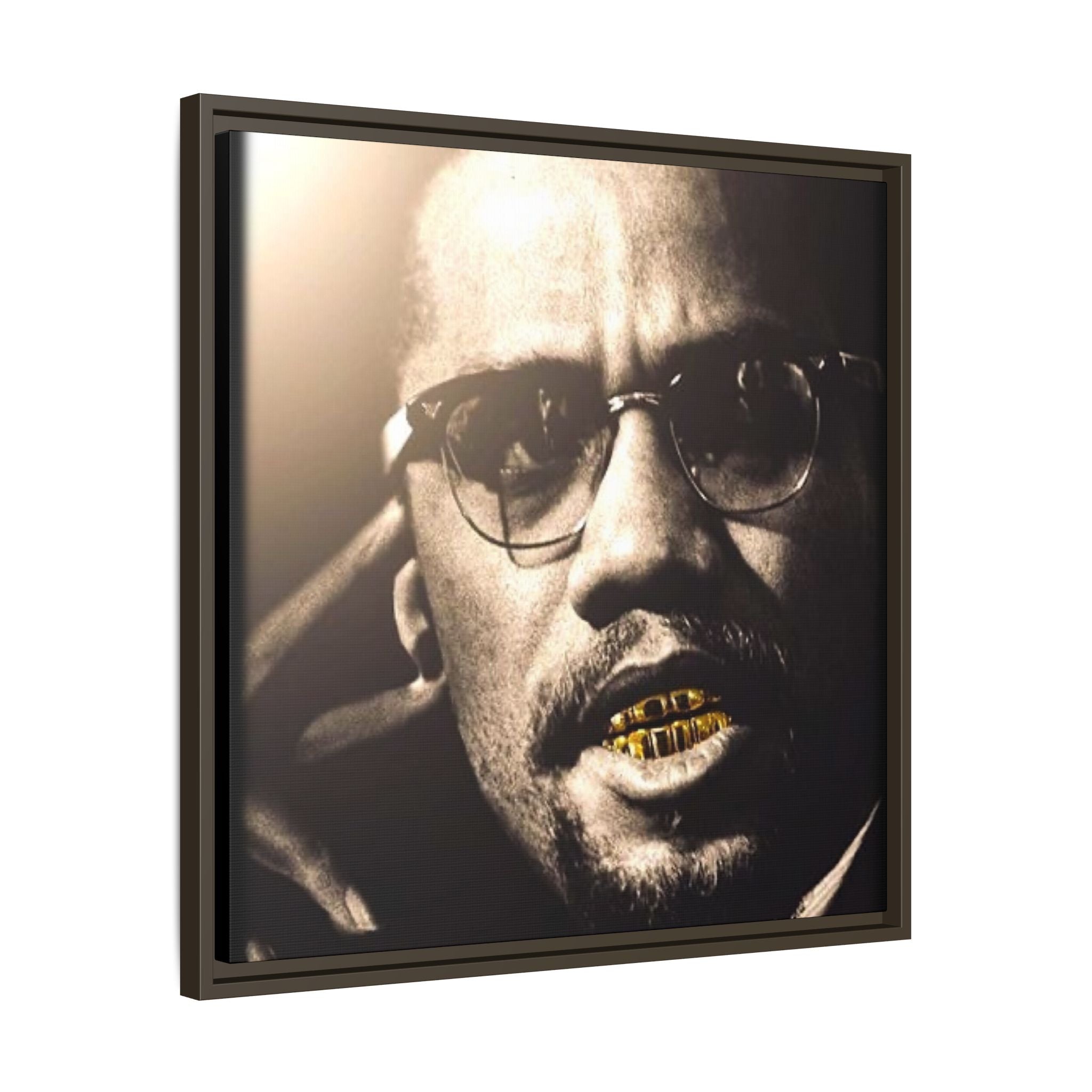Malcom X  Matte Canvas, Framed (Multi-color)