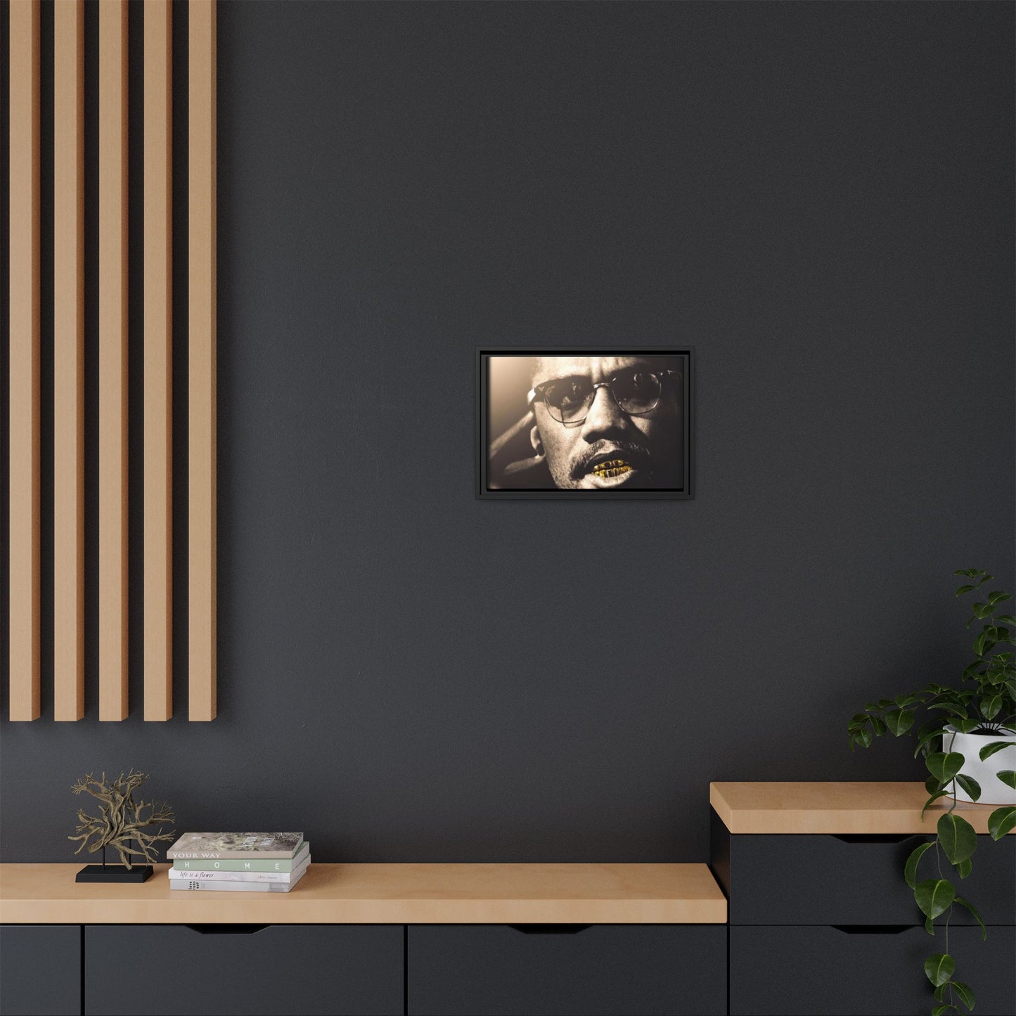 Malcom X  Matte Canvas, Framed (Multi-color)