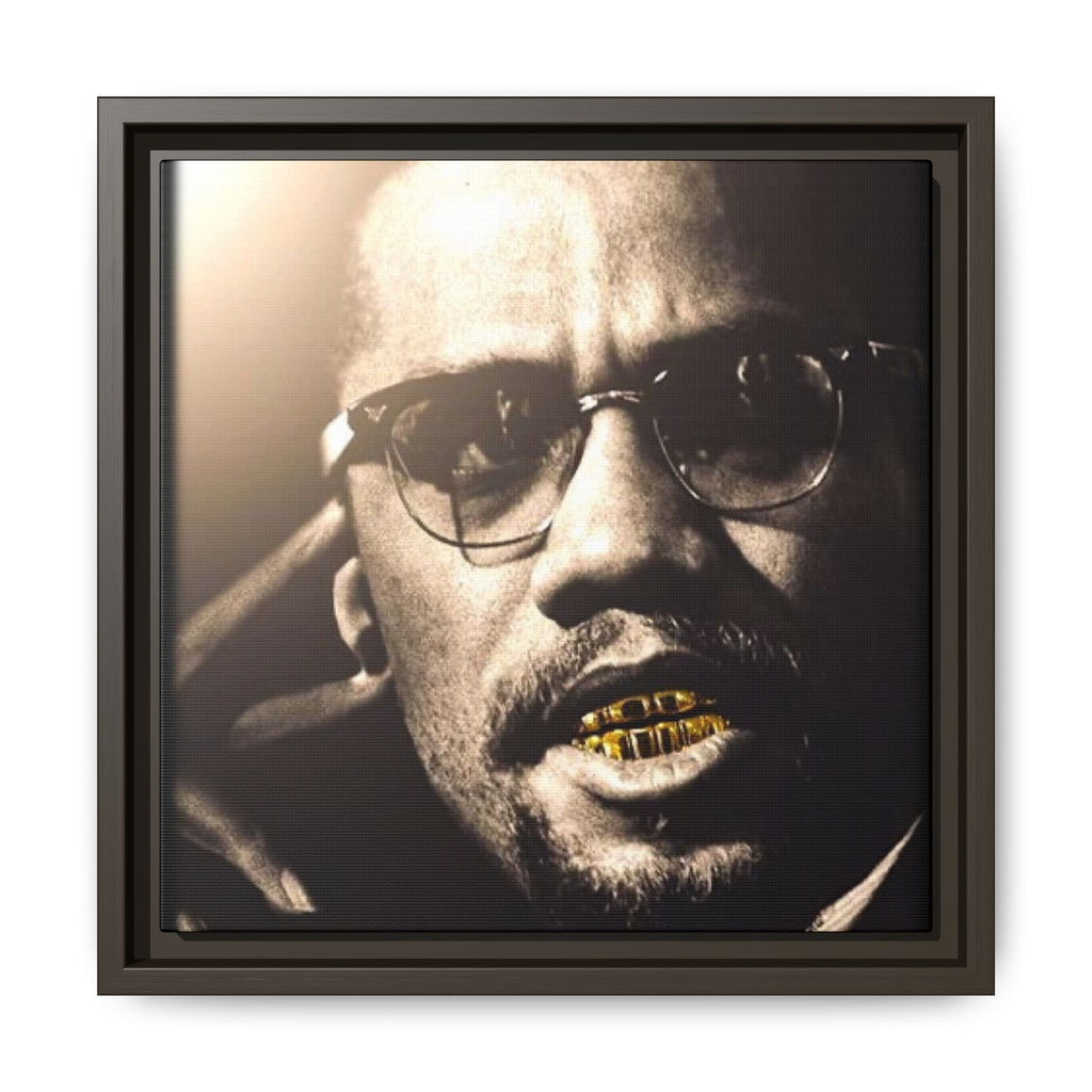 Malcom X  Matte Canvas, Framed (Multi-color)