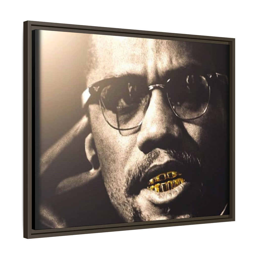 Malcom X  Matte Canvas, Framed (Multi-color)