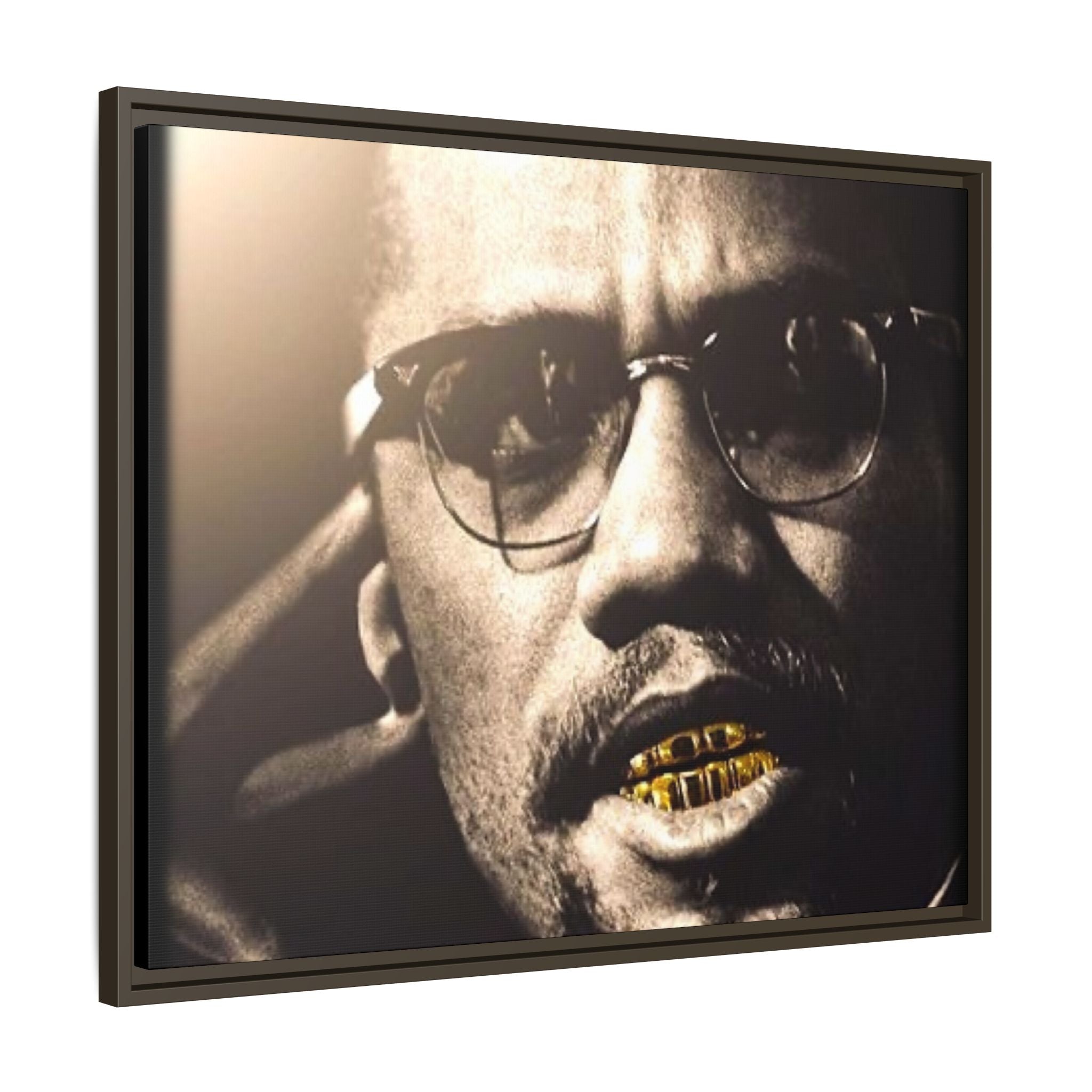 Malcom X  Matte Canvas, Framed (Multi-color)