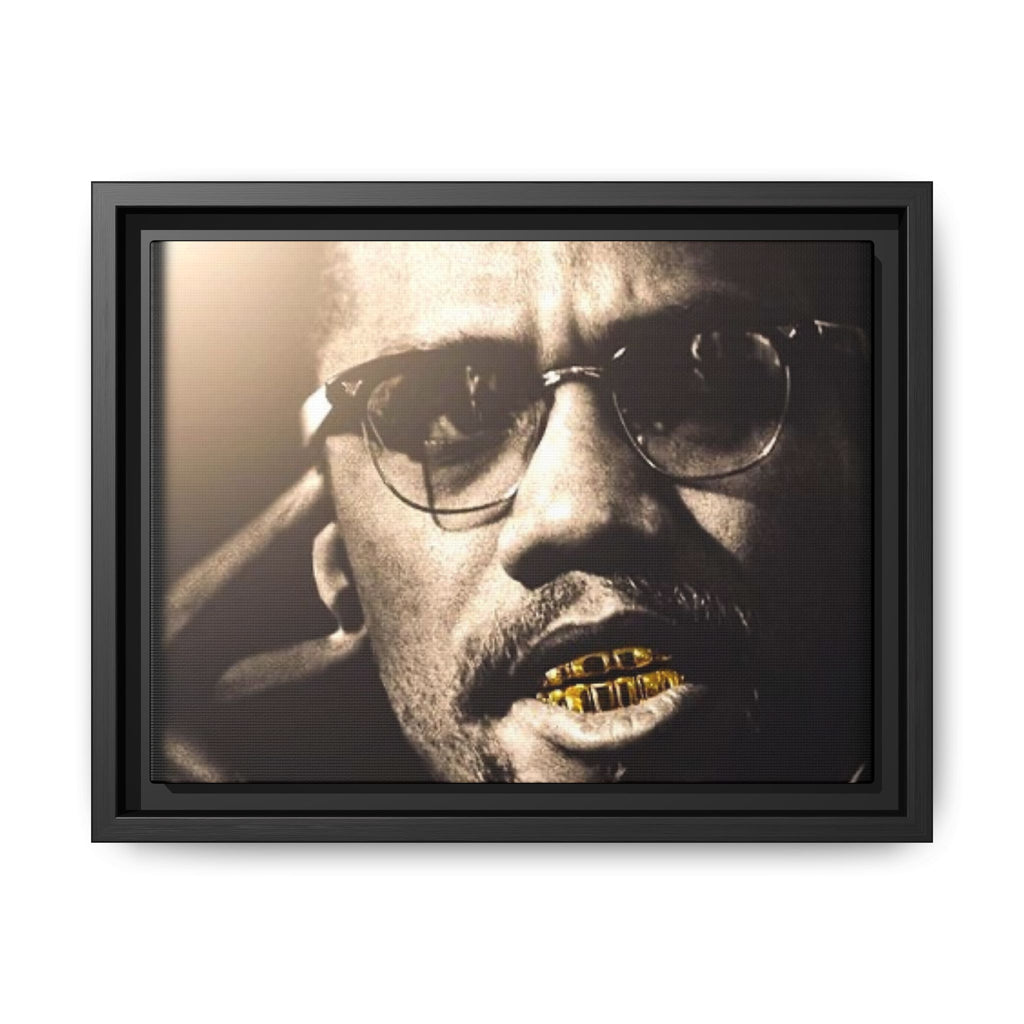 Malcom X  Matte Canvas, Framed (Multi-color)