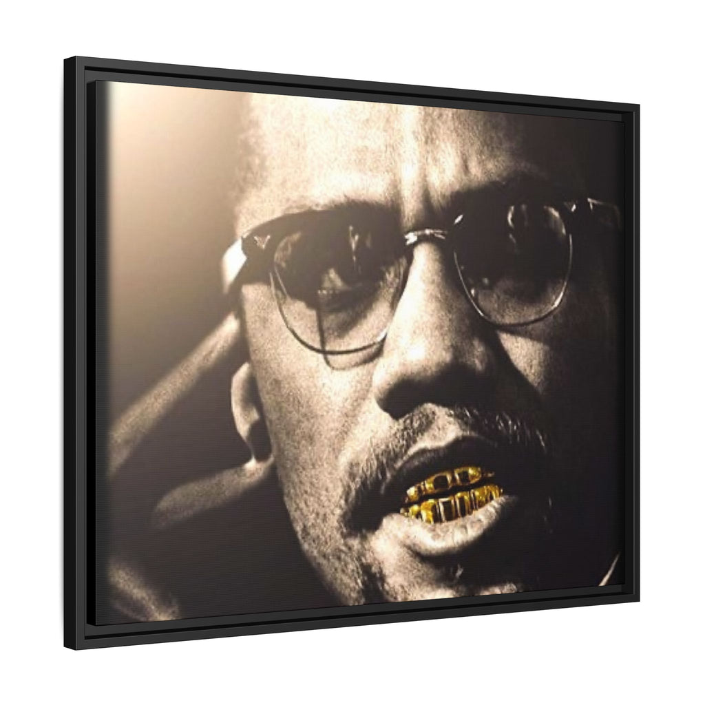 Malcom X  Matte Canvas, Framed (Multi-color)