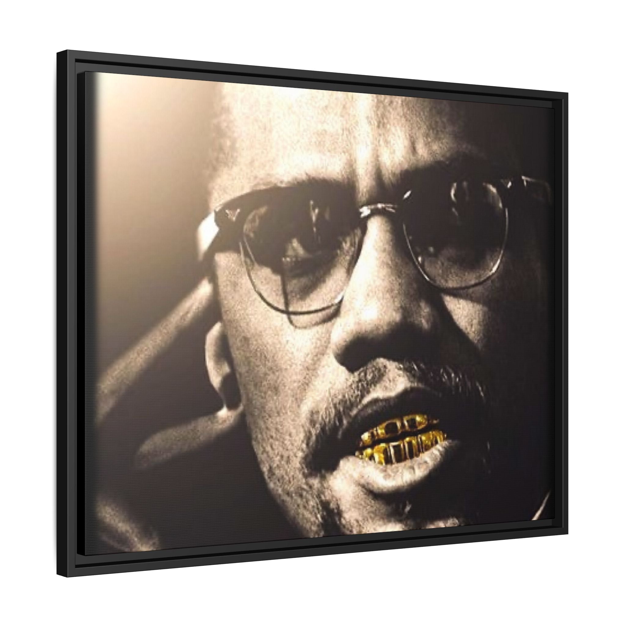 Malcom X  Matte Canvas, Framed (Multi-color)