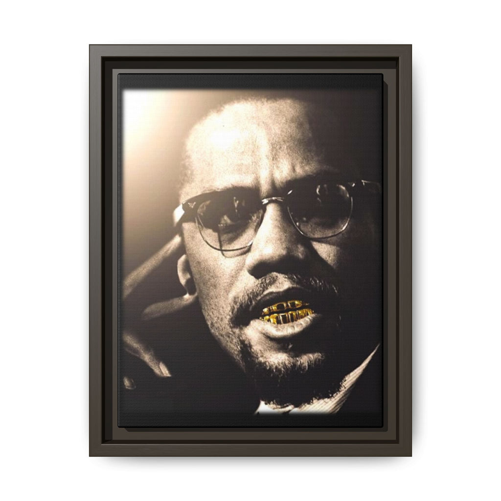 Malcom X  Matte Canvas, Framed (Multi-color)