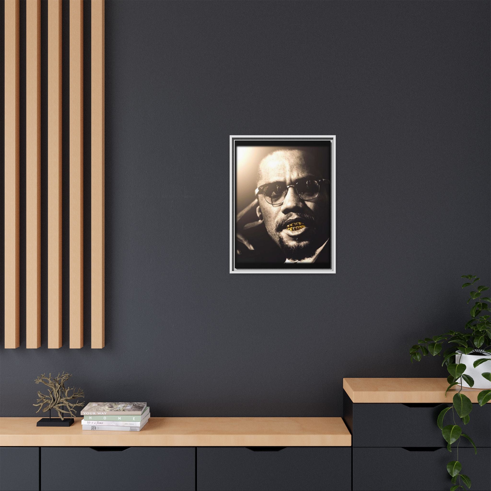 Malcom X  Matte Canvas, Framed (Multi-color)