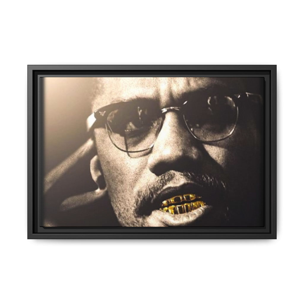 Malcom X  Matte Canvas, Framed (Multi-color)