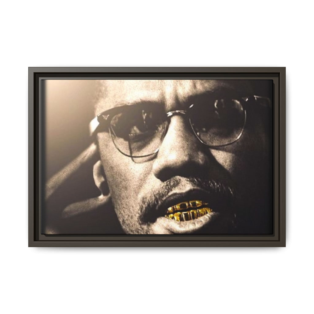 Malcom X  Matte Canvas, Framed (Multi-color)