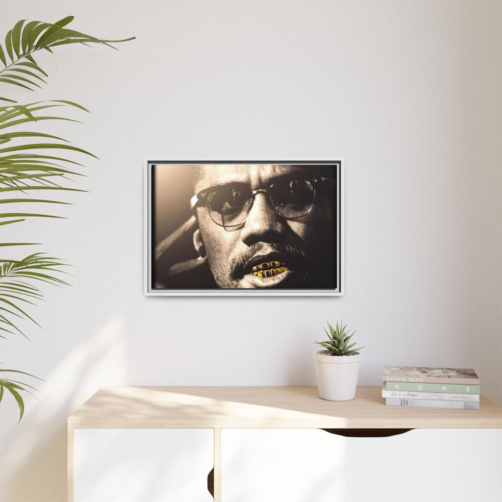 Malcom X  Matte Canvas, Framed (Multi-color)