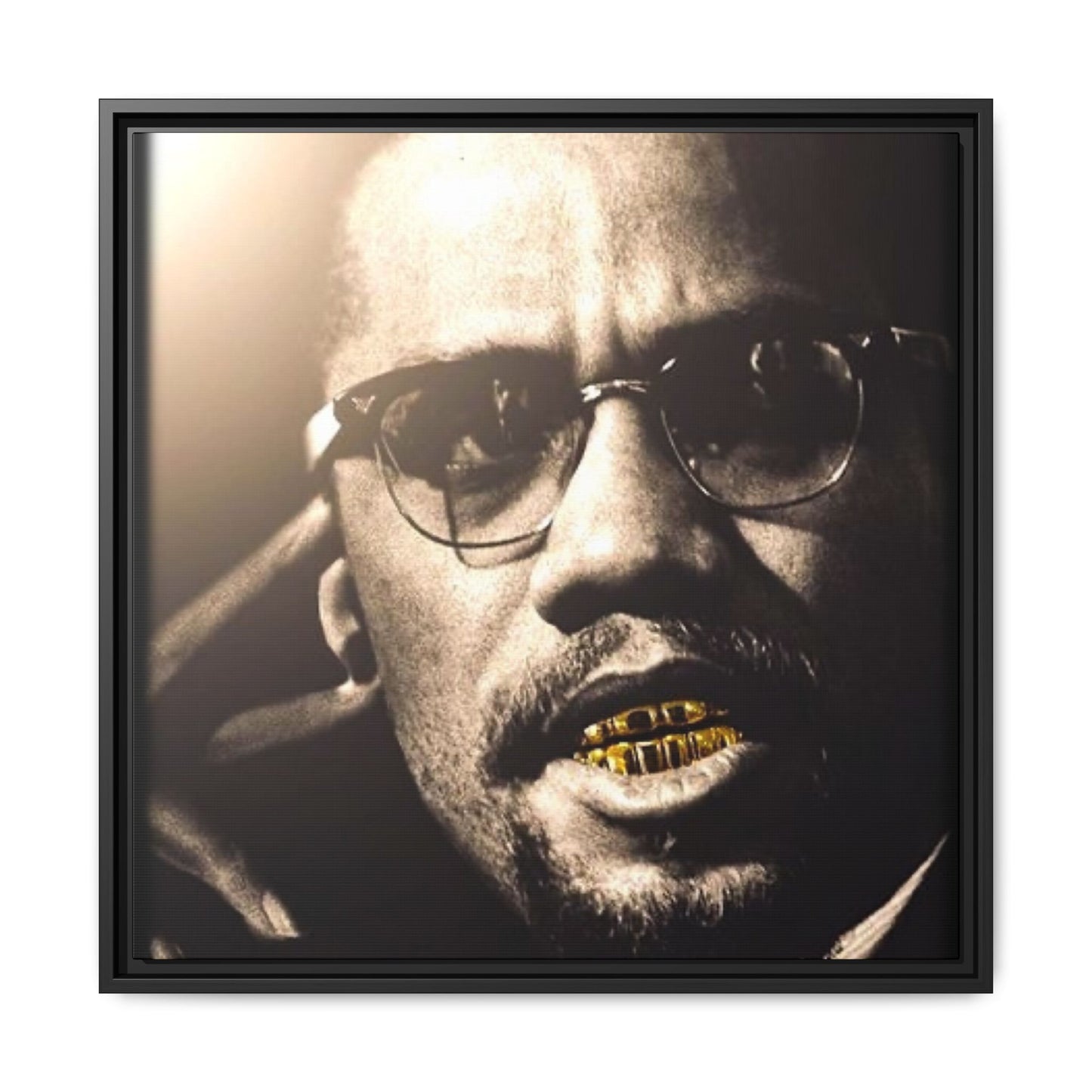 Malcom X  Matte Canvas, Framed (Multi-color)